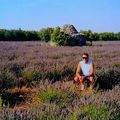 Balade à vélo de SAIGNON à Auribeau ,pour une découverte des bories ..(Luberon/Provence/Vaucluse)