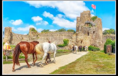 2021-Talmont-Saint-Hilaire, fouilles archéologiques sur l’ancien port médiéval (Portu castellanus Thalemundi)