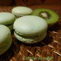 Macarons kiwi