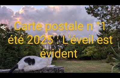 Carte postale des vacances : N°1 