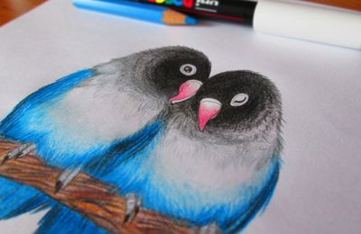 PiouPiou amoureux