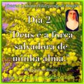 DIA 2 - NOVENA À SANTA HILDEGARDA DE BINGEN: Conheça os Caminhos: Força e Estabilidade