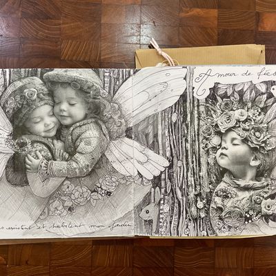 Art book - fées