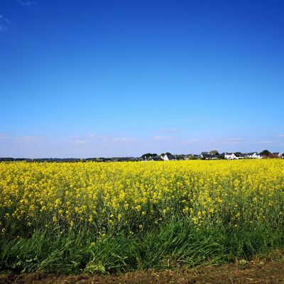 Le retour du printemps !