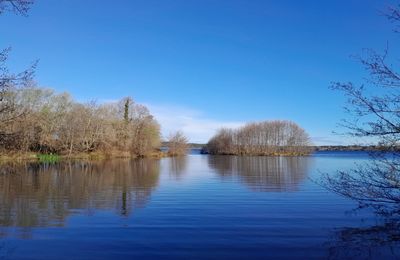 LE LAC LEON DANS LES LANDES...