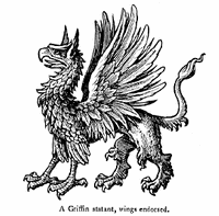 Griffon