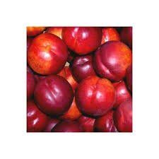 la fête des fruits : les nectarines pour se détendre