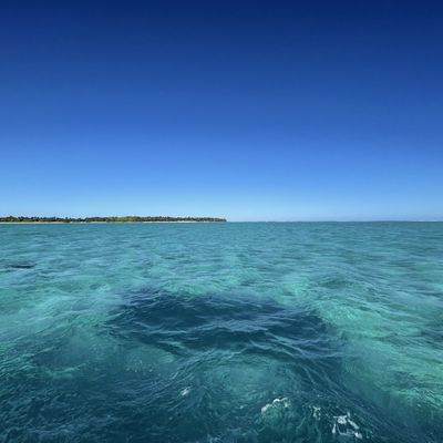 Vendredi 26 juillet : Maupiti