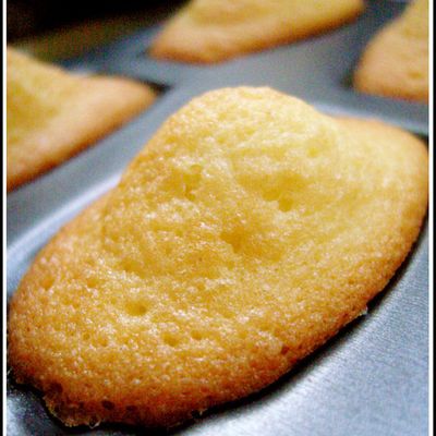 Madeleines tradition au citron 