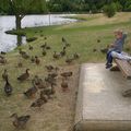 Visite aux canards de Damville