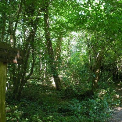 Personne en Essonne...