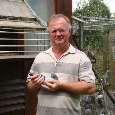 En direct du colombier de Serge Oboeuf