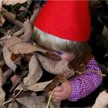 Jeu d'automne chez les lutins des bois