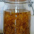 Macérat de Calendula