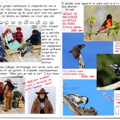 Carnet de voyage - Wash, Grey Owl, l'homme qui voulait être indien, et des photos