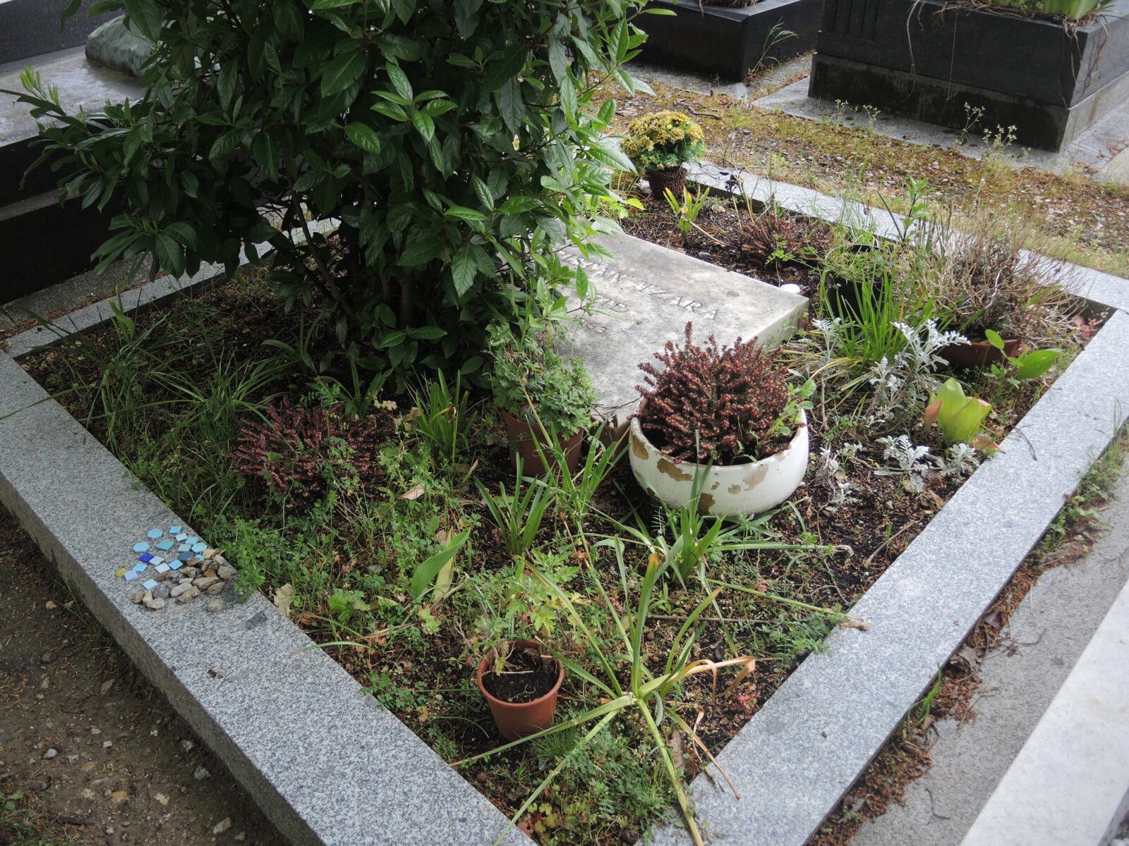 Paris, cimetière Montparnassse, tombe de Tristan Tzara (75)