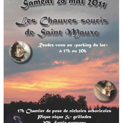 SORTIES sur les chauves-souris