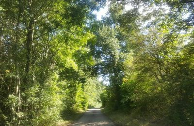 A LA CAMPAGNE...