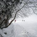 RESULTATS TRAIL HIVERNAL SANCY MONT DORE 12 janvier 2020