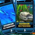 Mobifiesta : une plateforme qui fait de votre écran un vrai aquarium