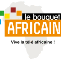 Études média en Afrique : AFRICASCOPE DE TNS SOFRES, AU SECOURS DES MÉDIA-PLANNERS AFRICAINS