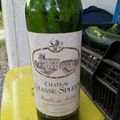 chateau Chasse-Spleen 1995 moulis