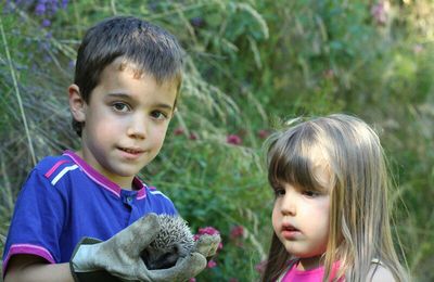 Surprise dans le jardin