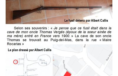 Un fusil ayant participé aux batailles du col de Banyuls ?