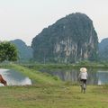 Tam Coc - Baie d'Halong Terrestre + Phang Nha Ke Bang National Park - Vietnam - 1er au 3 Novembre 2013
