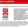 La Fondation 30 Millions d’Amis sera reçue par la