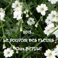 Le pouvoir des fleurs #6