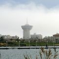 RETOUR PAR LA CÔTE CAMARGUAISE