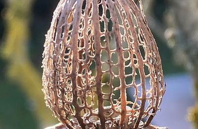 La nature et le temps ont façonné un bijou....