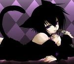 La vie d'un chat noir