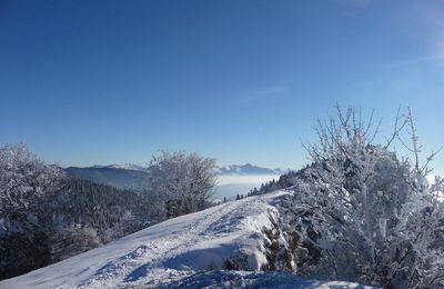 Accueil familial à Villard de Lans