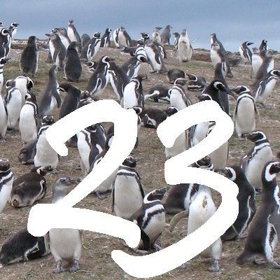 Le passage du Père Noël