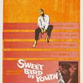 Download Sweet Bird of Youth Full