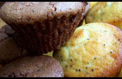 Petits gâteaux à partager - Petits moelleux à la ricotta, au citron et au pavot et Petits moelleux chocolat-noix.