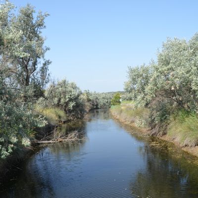 Balade matinale