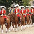 Maison militaire du roi de France 