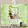 Challenge addon instant de verdure ICI