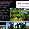 Projection film sur les coopérations de caves vinicoles samedi 2 décembre à 17h St-André