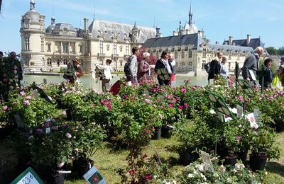 Chantilly, j'y suis allée 