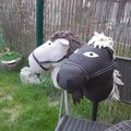 le cheval bâton...