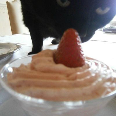 Mousse Fraises Mascarpone