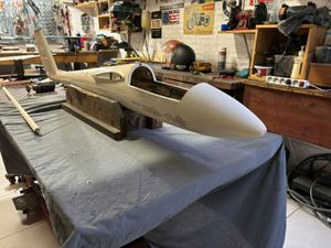 Dernier week-end de novembre : activités du MACRF