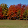 Nappanee to Ottawa