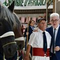 EN SURSIS, LES CHEVAUX TRAITS DU NORD DÉFILENT ET DÉFIENT.