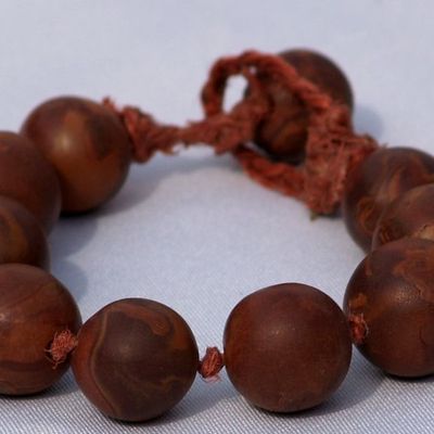 Nouvel Album Photo Disponible.