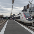 Un petit guide de voyage en TGV (Train á Grande Vitesse)
